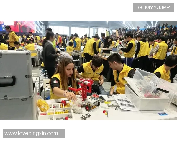 2017年wer比赛-2017年WER比赛，挑战智能与技术的巅峰之战-2017年wer比赛